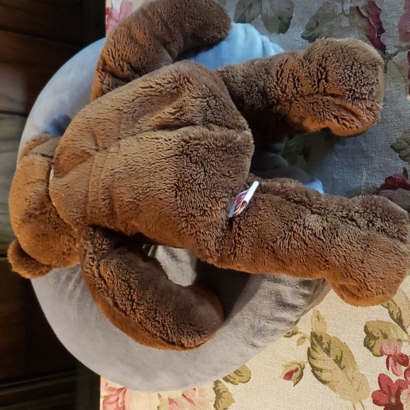TY CLASSIC "Molasses the Bear" Plush teddy Bear - EVC - Picture 6 of 8